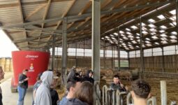 Des jeunes de dos écoute un éleveur avec un micro dans un bâtiment d'élevage de bovins