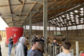 Des jeunes de dos écoute un éleveur avec un micro dans un bâtiment d'élevage de bovins