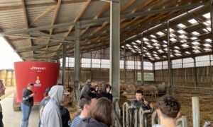 Des jeunes de dos écoute un éleveur avec un micro dans un bâtiment d'élevage de bovins