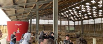 Des jeunes de dos écoute un éleveur avec un micro dans un bâtiment d'élevage de bovins