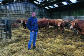 Un homme avec ses vaches allaitantes dans uns stabulation paillée