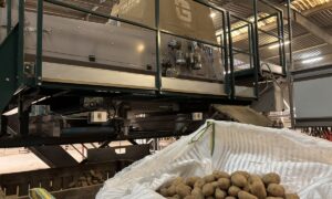 Des pommes deterre et un trieur optique