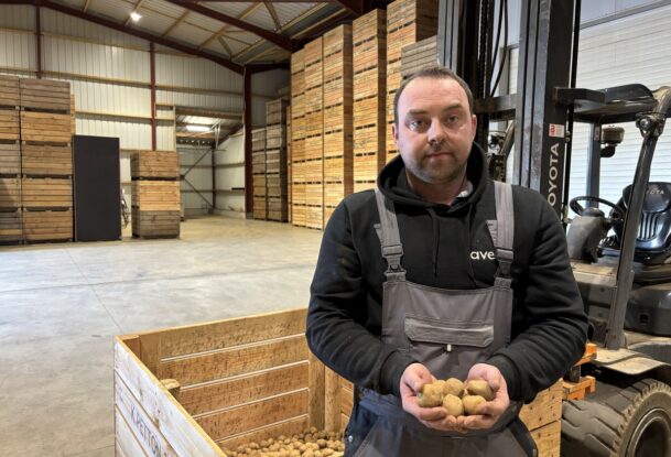 Une personne avec des plants de pomme de terre dans les mains