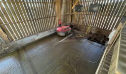 Un automate aspirateur de lisier dans une enceinte bardée de claire-voie dans un bâtiment d'élevage pour bovins