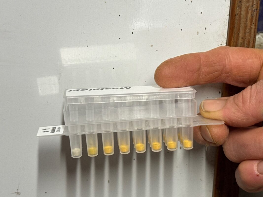 Vue de côté d'une cassette avant utilisation.