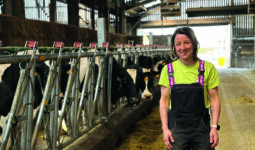 Une femme souriante près d'un cornadis autobloquant dans un bâtiment d'élevage abritant de vaches de race Prim'Holstein