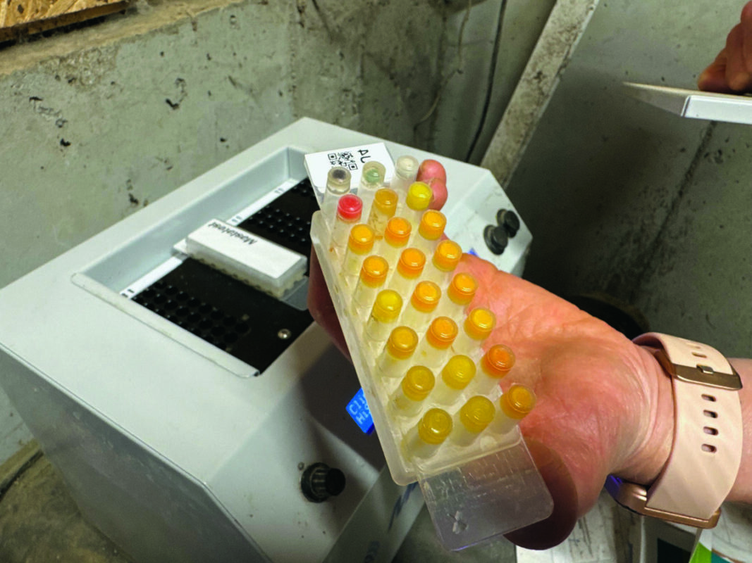 Présentée dans la main d'une éleveuse, une cassette de 24 petits tubes utilisée pour analyser la qualité bactériologique du lait de vache