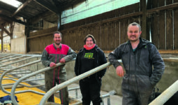 Une femme entourée de deux hommes dans les logettes d'un élevage laitier