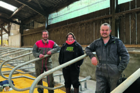 Une femme entourée de deux hommes dans les logettes d'un élevage laitier