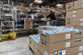 Un centre de conditionnement d'oeufs