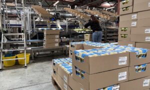 Un centre de conditionnement d'oeufs