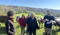 Les associés du Gaec Kergoat, à Spézet, dans un champ avec les vaches