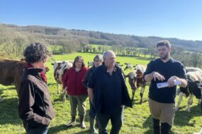 Les associés du Gaec Kergoat, à Spézet, dans un champ avec les vaches