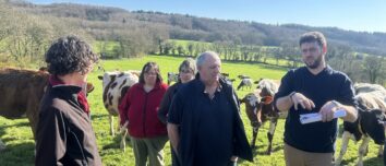 Les associés du Gaec Kergoat, à Spézet, dans un champ avec les vaches