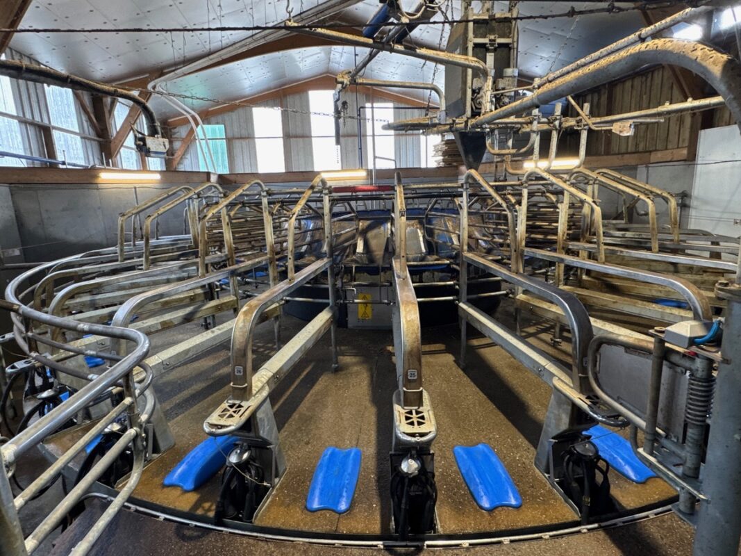 Aperçu d'un manège de traite