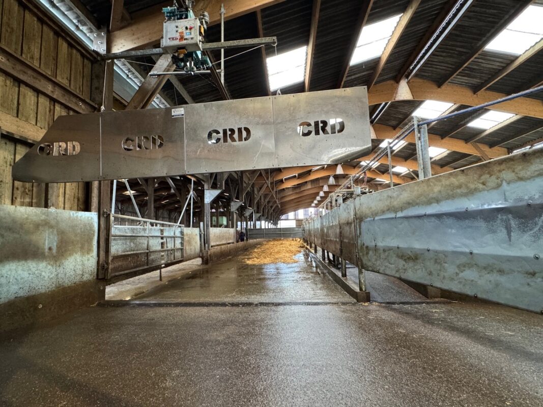 Aperçu de la barrière poussante d'un chien électrique dans un parc d'attente d'élevage laitier