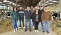 agriculteurs dans une stabulation