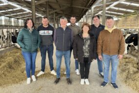 agriculteurs dans une stabulation