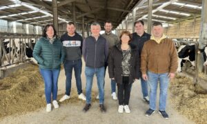 agriculteurs dans une stabulation