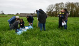 Des hommes et des femmes cherchant des vers de terre