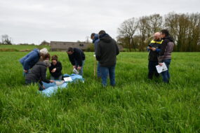 Des hommes et des femmes cherchant des vers de terre