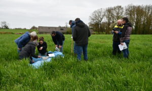 Des hommes et des femmes cherchant des vers de terre