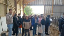Des collégiens dans une ferme