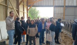 Des collégiens dans une ferme