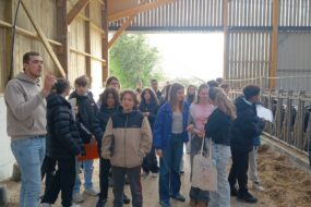 Des collégiens dans une ferme