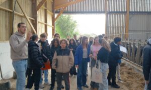 Des collégiens dans une ferme