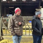 Un jeune homme et une jeune femme portant un bonnet dans une étable pour vaches laitières