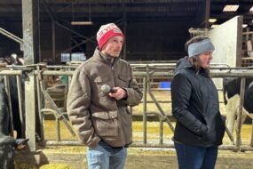 Un jeune homme et une jeune femme portant un bonnet dans une étable pour vaches laitières