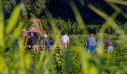 Des personnes travaillant dans un champ avec un tracteur par une belle journée ensoleillée