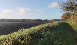 paysage de campagne avec un champ et un talus