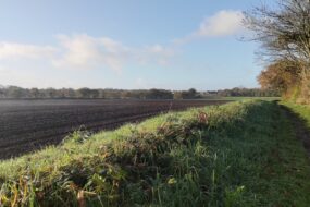 paysage de campagne avec un champ et un talus