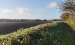 paysage de campagne avec un champ et un talus