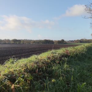 paysage de campagne avec un champ et un talus