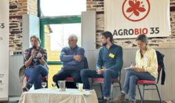 Deus femmes et deux hommes lors d'une table ronde assis sur des chaises