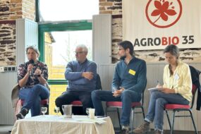 Deus femmes et deux hommes lors d'une table ronde assis sur des chaises