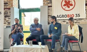 Deus femmes et deux hommes lors d'une table ronde assis sur des chaises