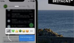 Un écran de téléphone avec une application de messagerie sécurisée qui permet de réagir aux messages avec le drapeau breton