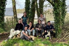 Deux hommes, cinq femmes, un chien Border colie et un chat Siamois dans un bois