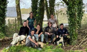 Deux hommes, cinq femmes, un chien Border colie et un chat Siamois dans un bois