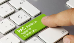 UGros plan sur un clavier d'ordinateur avec un doigt qui appuie sur la touche entrée sur laquelle il y a écrit "PAC Politique Agricole Commune"