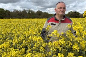 Un agriculteur dans un champ de colza