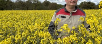 Un agriculteur dans un champ de colza