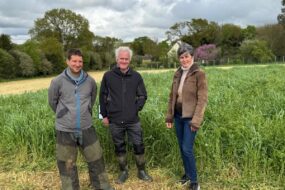 Deux hommes et une femme devant un couvert végétal au printemps