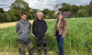Deux hommes et une femme devant un couvert végétal au printemps
