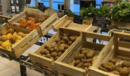 Un étal de légumes dans un magasin de producteurs
