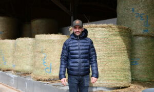 un éleveur devant des bottes de foin en round